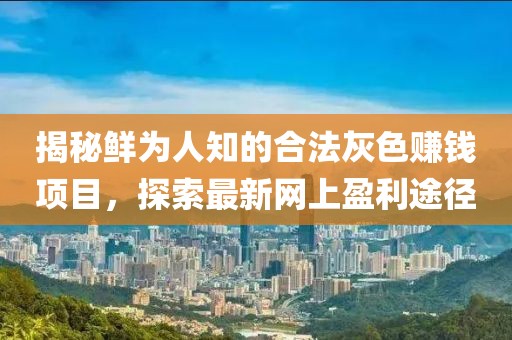揭秘鲜为人知的合法灰色赚钱项目，探索最新网上盈利途径