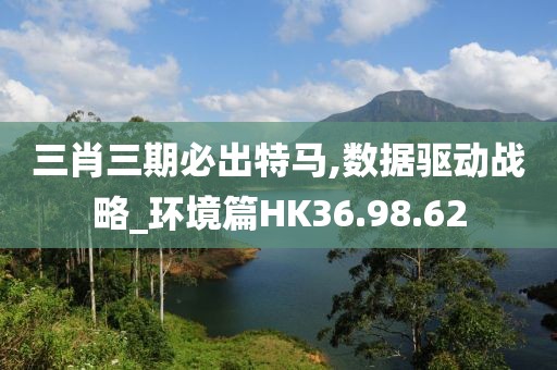 三肖三期必出特马,数据驱动战略_环境篇HK36.98.62