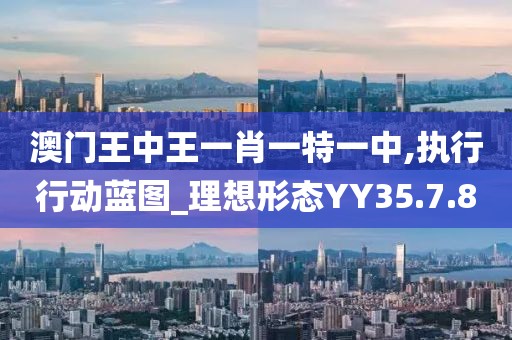 澳门王中王一肖一特一中,执行行动蓝图_理想形态YY35.7.8