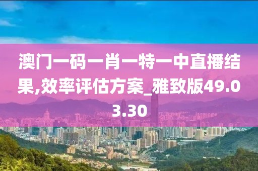 澳门一码一肖一特一中直播结果,效率评估方案_雅致版49.03.30