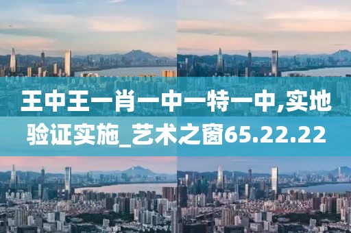 王中王一肖一中一特一中,实地验证实施_艺术之窗65.22.22