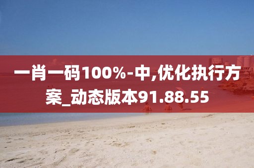 一肖一码100%-中,优化执行方案_动态版本91.88.55