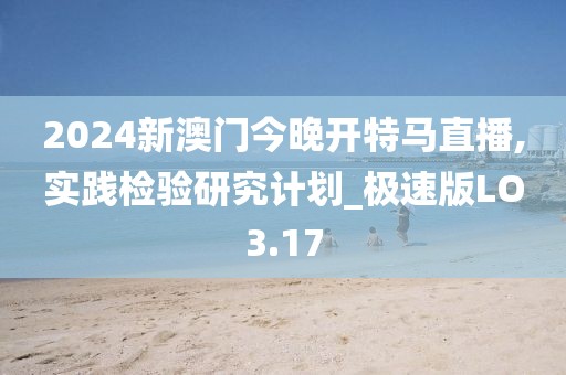 2024新澳门今晚开特马直播,实践检验研究计划_极速版LO3.17