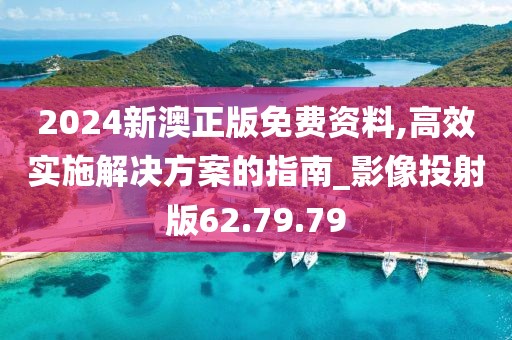 2024新澳正版免费资料,高效实施解决方案的指南_影像投射版62.79.79
