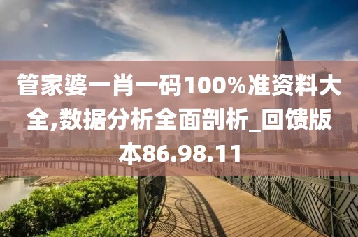 管家婆一肖一码100%准资料大全,数据分析全面剖析_回馈版本86.98.11