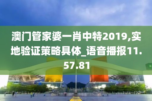 澳门管家婆一肖中特2019,实地验证策略具体_语音播报11.57.81
