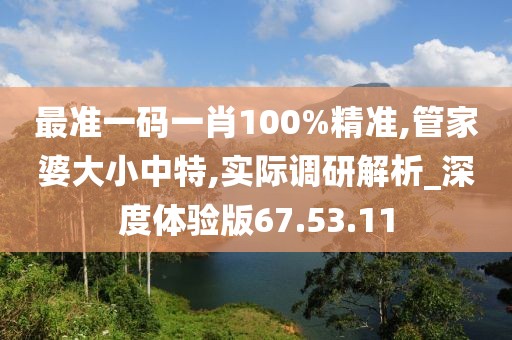 最准一码一肖100%精准,管家婆大小中特,实际调研解析_深度体验版67.53.11
