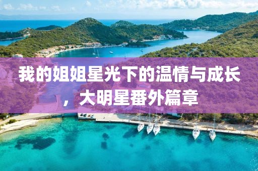 我的姐姐星光下的温情与成长，大明星番外篇章