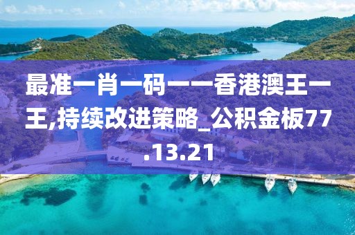 最准一肖一码一一香港澳王一王,持续改进策略_公积金板77.13.21