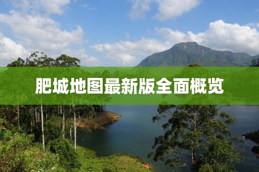 肥城地图最新版全面概览