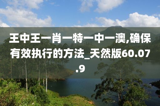 王中王一肖一特一中一澳,确保有效执行的方法_天然版60.07.9