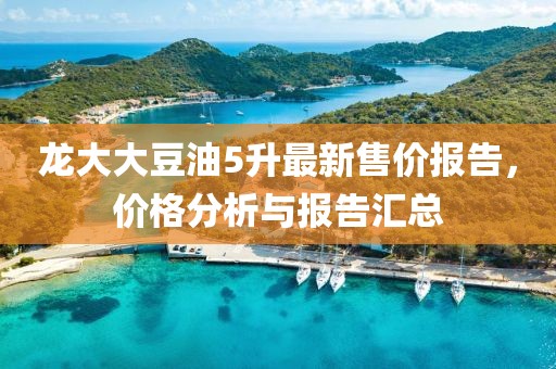 龙大大豆油5升最新售价报告，价格分析与报告汇总