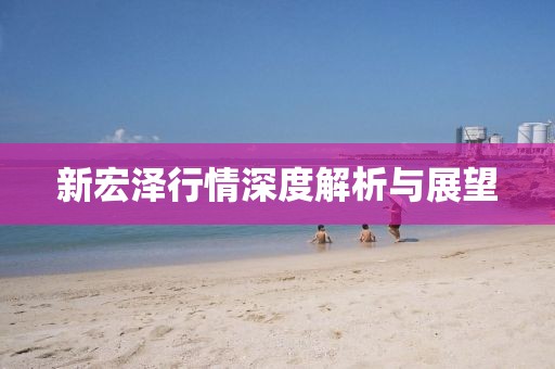 新宏泽行情深度解析与展望