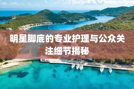 库乐荷 第8页