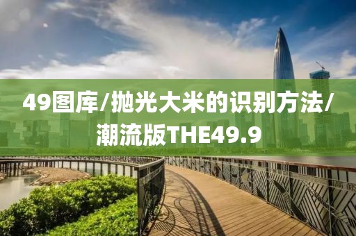 49图库/抛光大米的识别方法/潮流版THE49.9