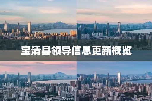 宝清县领导信息更新概览