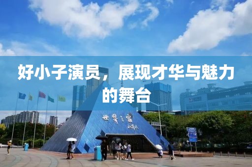 好小子演员，展现才华与魅力的舞台