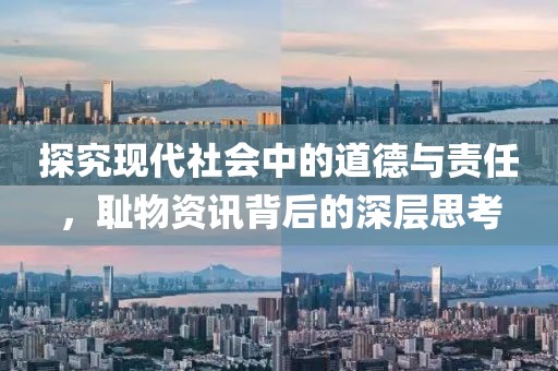 探究现代社会中的道德与责任，耻物资讯背后的深层思考