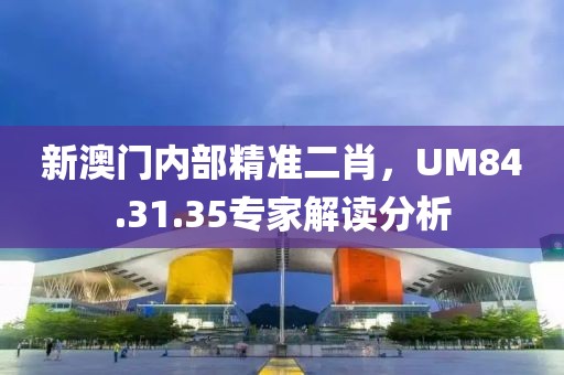 新澳门内部精准二肖，UM84.31.35专家解读分析
