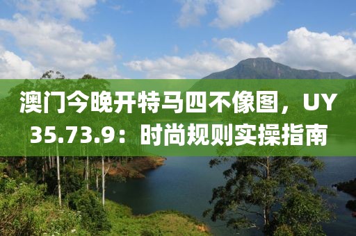 澳门今晚开特马四不像图，UY35.73.9：时尚规则实操指南
