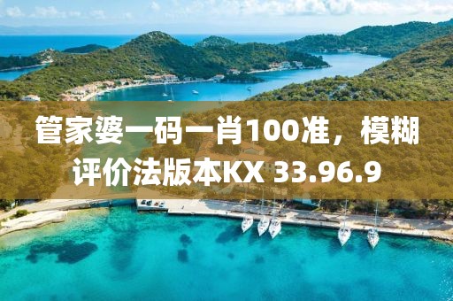管家婆一码一肖100准，模糊评价法版本KX 33.96.9