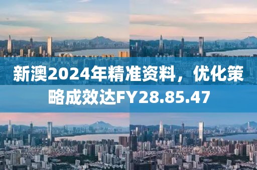 新澳2024年精准资料，优化策略成效达FY28.85.47