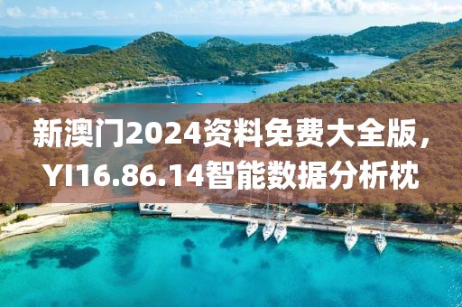 新澳门2024资料免费大全版，YI16.86.14智能数据分析枕