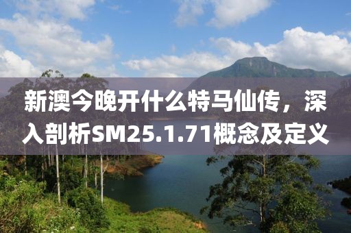 新澳今晚开什么特马仙传，深入剖析SM25.1.71概念及定义