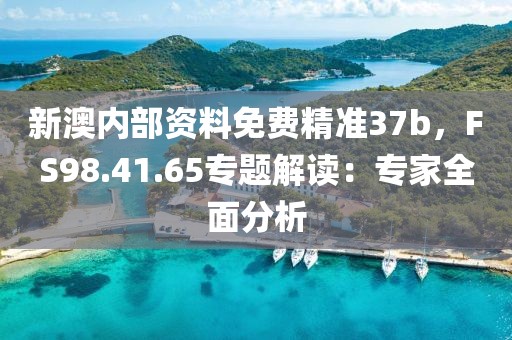 新澳内部资料免费精准37b，FS98.41.65专题解读：专家全面分析
