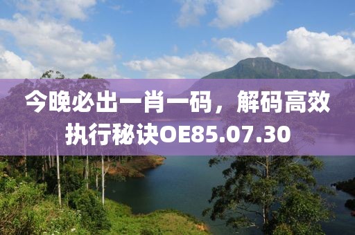 今晚必出一肖一码，解码高效执行秘诀OE85.07.30