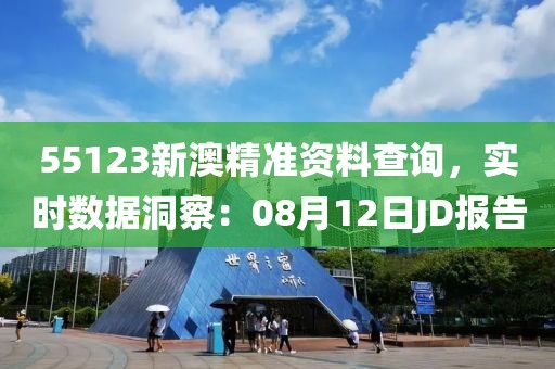 55123新澳精准资料查询，实时数据洞察：08月12日JD报告