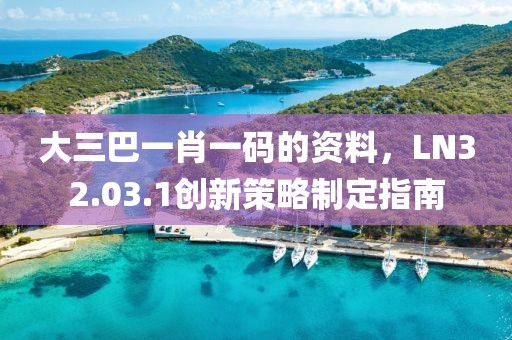 大三巴一肖一码的资料，LN32.03.1创新策略制定指南