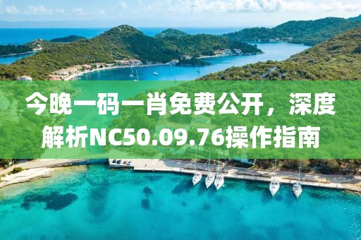今晚一码一肖免费公开，深度解析NC50.09.76操作指南