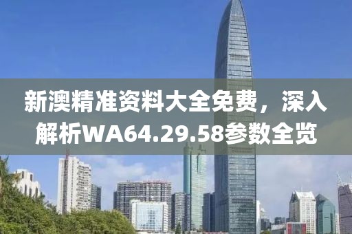 新澳精准资料大全免费，深入解析WA64.29.58参数全览