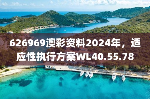 626969澳彩资料2024年，适应性执行方案WL40.55.78