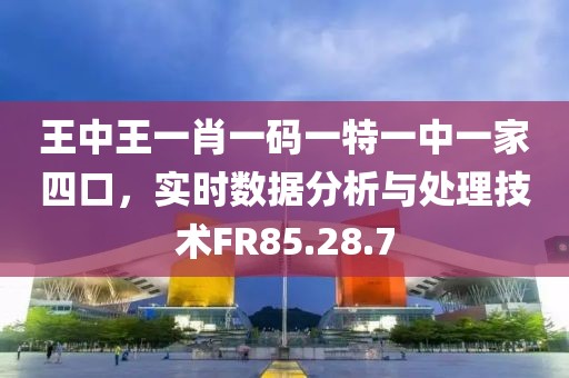 王中王一肖一码一特一中一家四口，实时数据分析与处理技术FR85.28.7
