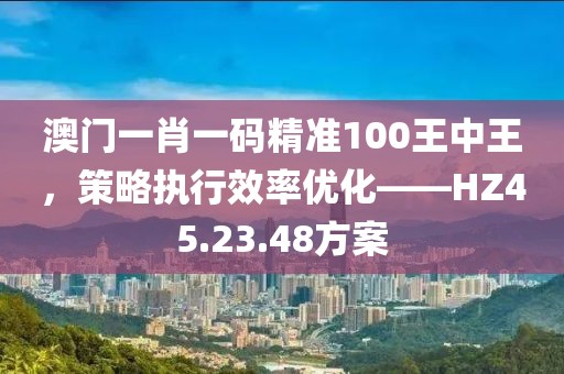 澳门一肖一码精准100王中王，策略执行效率优化——HZ45.23.48方案