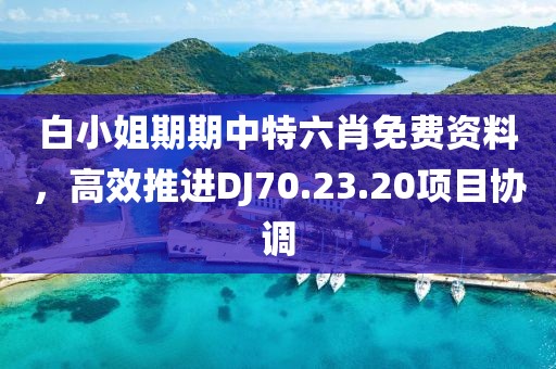 白小姐期期中特六肖免费资料，高效推进DJ70.23.20项目协调