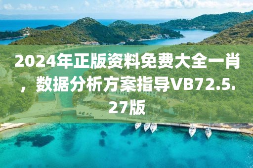 2024年正版资料免费大全一肖，数据分析方案指导VB72.5.27版