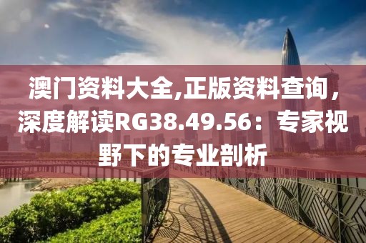 澳门资料大全,正版资料查询，深度解读RG38.49.56：专家视野下的专业剖析