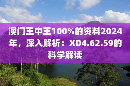 澳门王中王100%的资料2024年，深入解析：XD4.62.59的科学解读