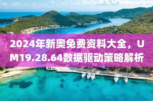 2024年新奥免费资料大全，UM19.28.64数据驱动策略解析