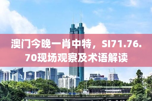 澳门今晚一肖中特，SI71.76.70现场观察及术语解读