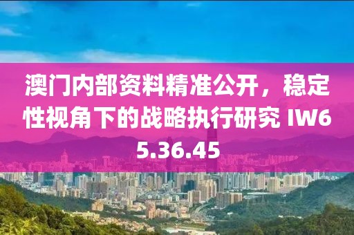 澳门内部资料精准公开，稳定性视角下的战略执行研究 IW65.36.45