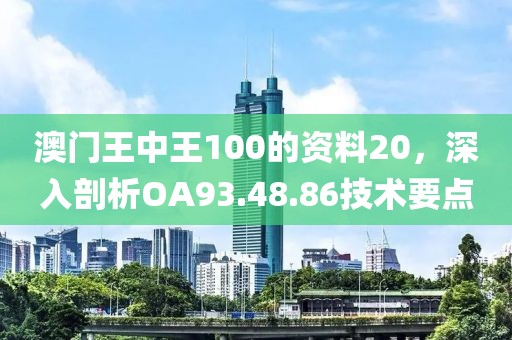 澳门王中王100的资料20，深入剖析OA93.48.86技术要点