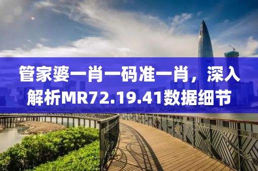 管家婆一肖一码准一肖，深入解析MR72.19.41数据细节