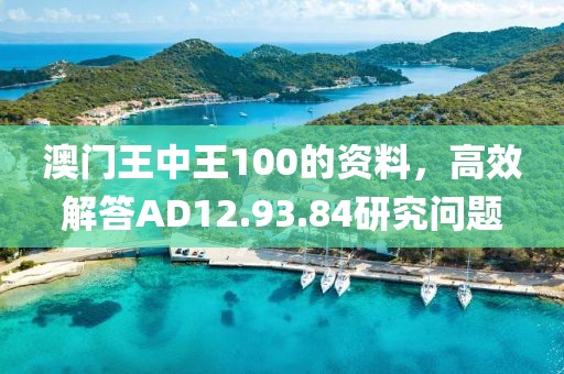 澳门王中王100的资料，高效解答AD12.93.84研究问题