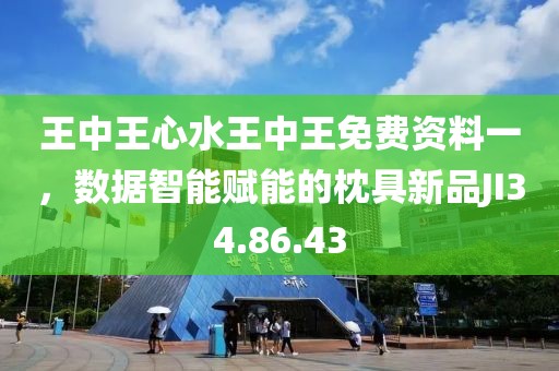 王中王心水王中王免费资料一，数据智能赋能的枕具新品JI34.86.43