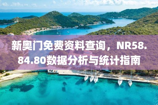 新奥门免费资料查询，NR58.84.80数据分析与统计指南