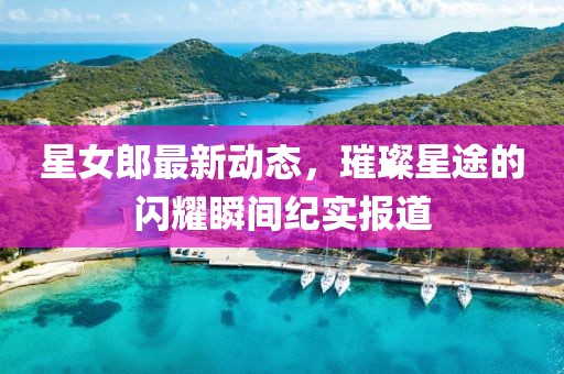 星女郎最新动态，璀璨星途的闪耀瞬间纪实报道